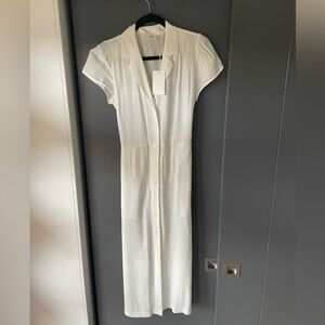Aritzia Wilfred Shirt Dress